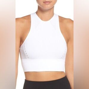 Adidas Warp Knit Crop Top